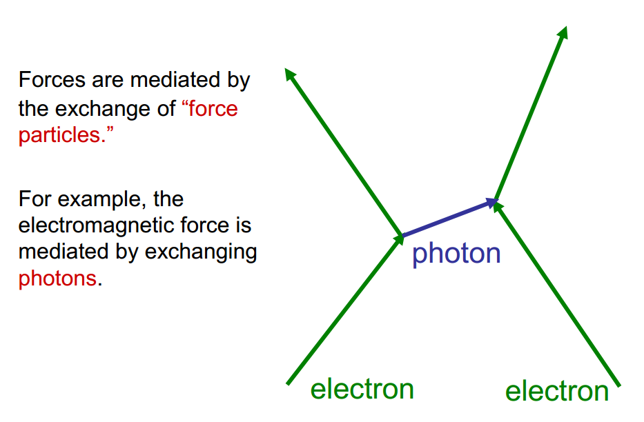 The Purpose of Force Particles is ...