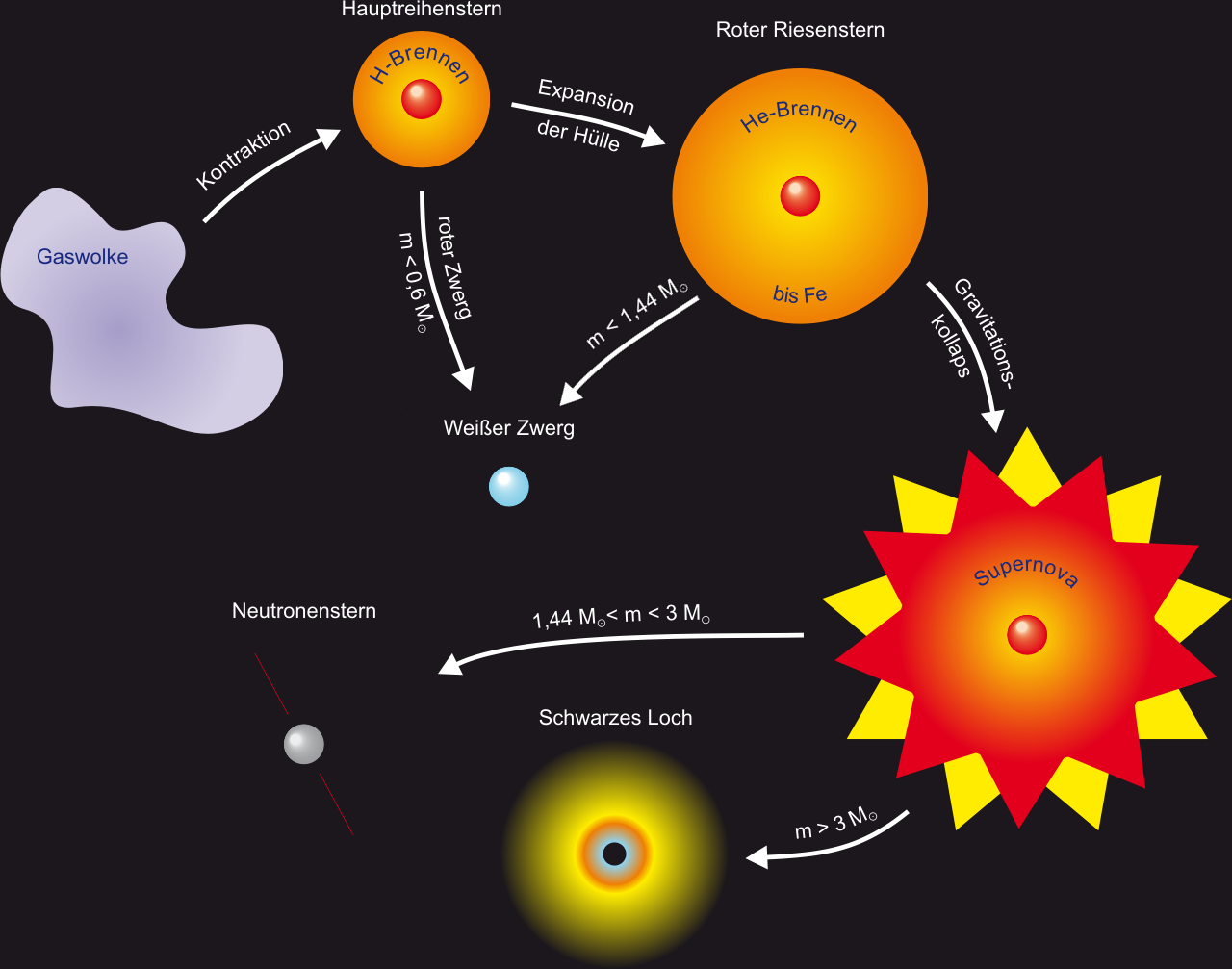 Lebenslauf der Sterne
